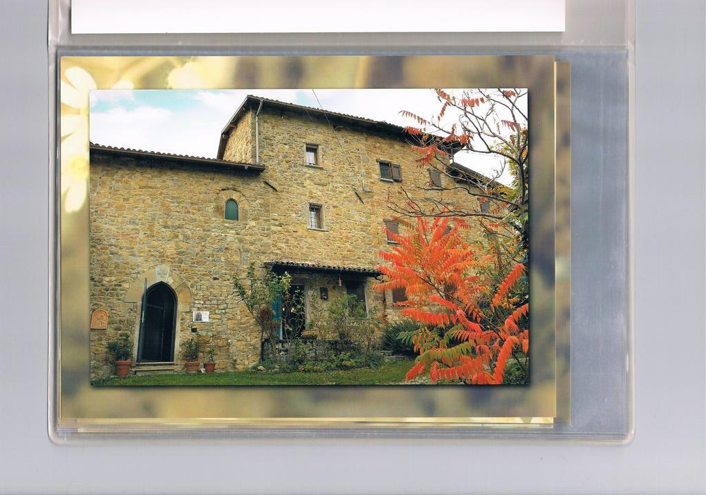Serramazzoni B&B San Nicola מראה חיצוני תמונה