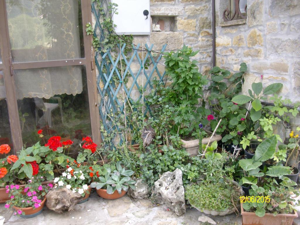 Serramazzoni B&B San Nicola מראה חיצוני תמונה