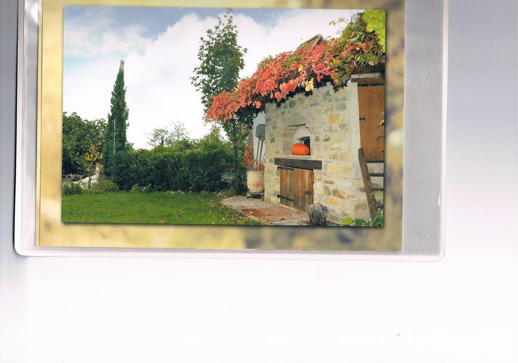 Serramazzoni B&B San Nicola מראה חיצוני תמונה