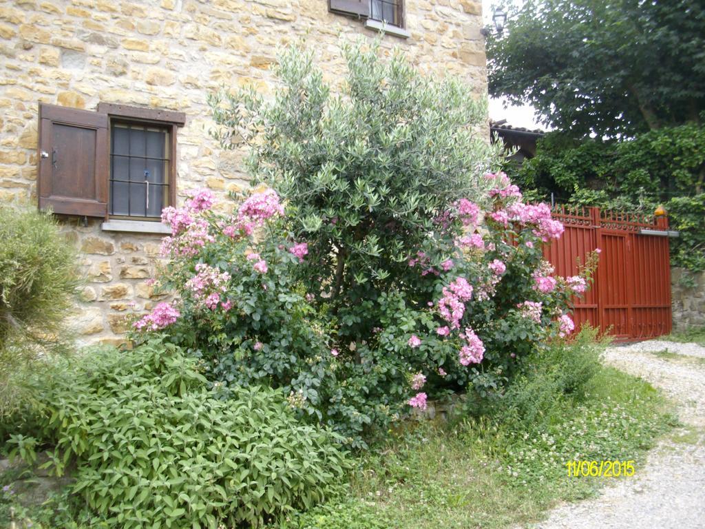 Serramazzoni B&B San Nicola מראה חיצוני תמונה