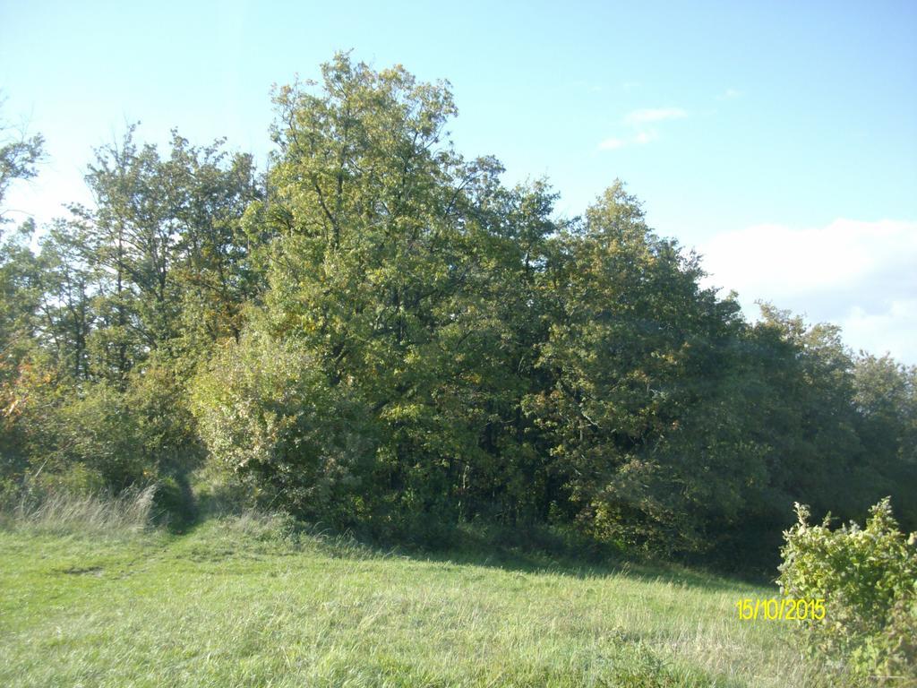 Serramazzoni B&B San Nicola מראה חיצוני תמונה