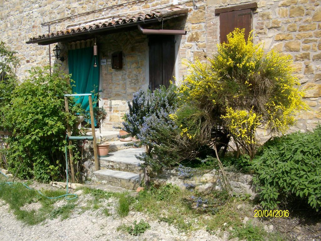 Serramazzoni B&B San Nicola מראה חיצוני תמונה