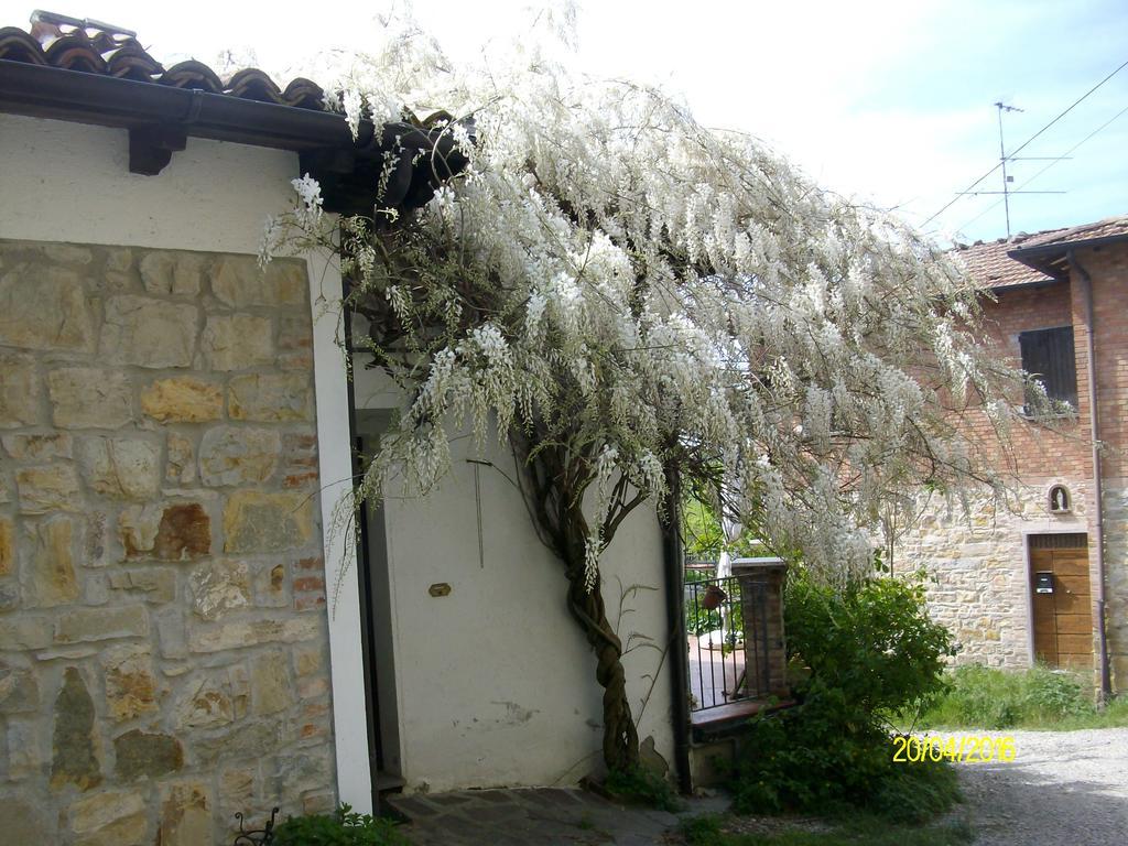 Serramazzoni B&B San Nicola מראה חיצוני תמונה