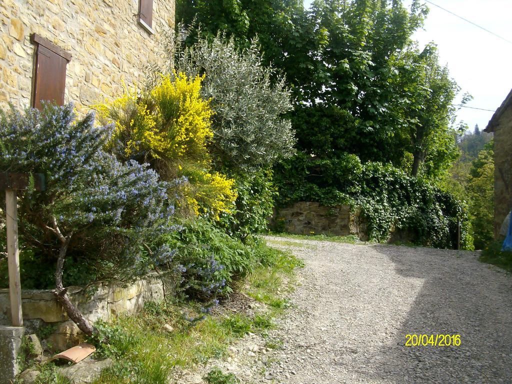 Serramazzoni B&B San Nicola מראה חיצוני תמונה