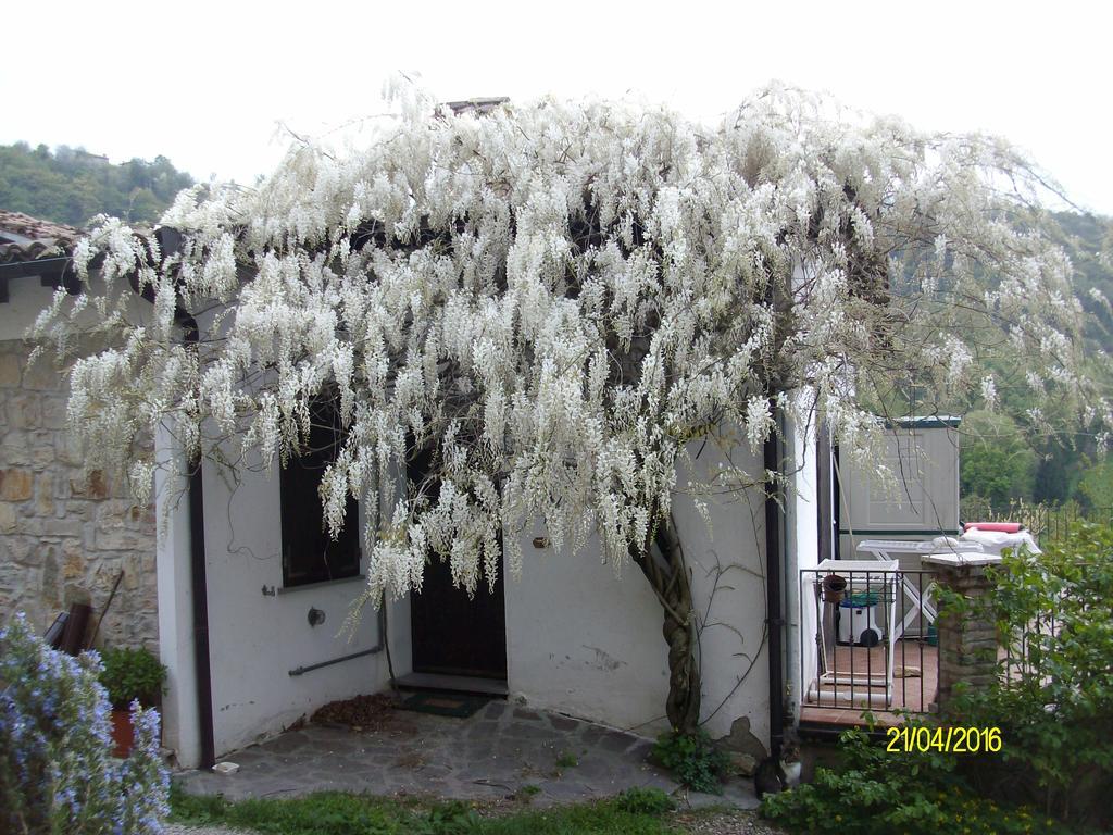 Serramazzoni B&B San Nicola מראה חיצוני תמונה